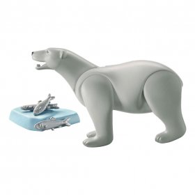 Polar Bear (PM-71053)