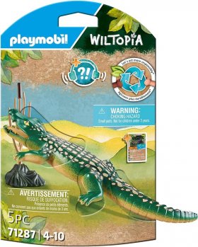 Alligator (PM-71287)