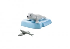 Young Seal (PM-71070)