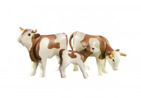 Brown and White Cow Family (PM-6356)