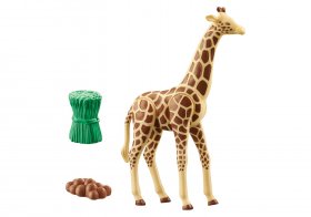 Giraffe (PM-71048)