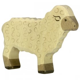 Sheep, Standing, White (HOLT-80073)