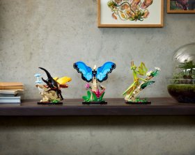 LEGO Ideas: The Insect Collection (lego-21342)