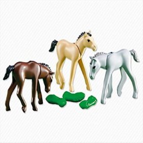 3 Foals with Feed (PM-6263)