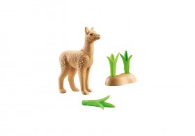 Young Alpaca (PM-71064)