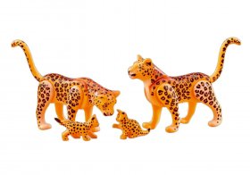 Leopard Family (PM-6539)