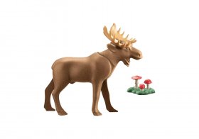 Moose (PM-71052)