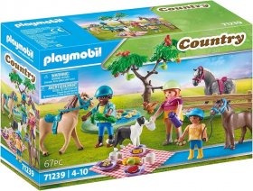 Picnic Adventure with Horses (PM-71239)