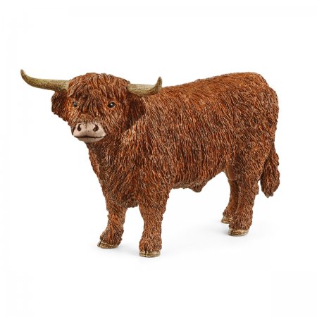 Highland Bull (sch-13919)