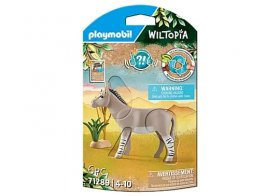 African Wild Donkey (PM-71289)